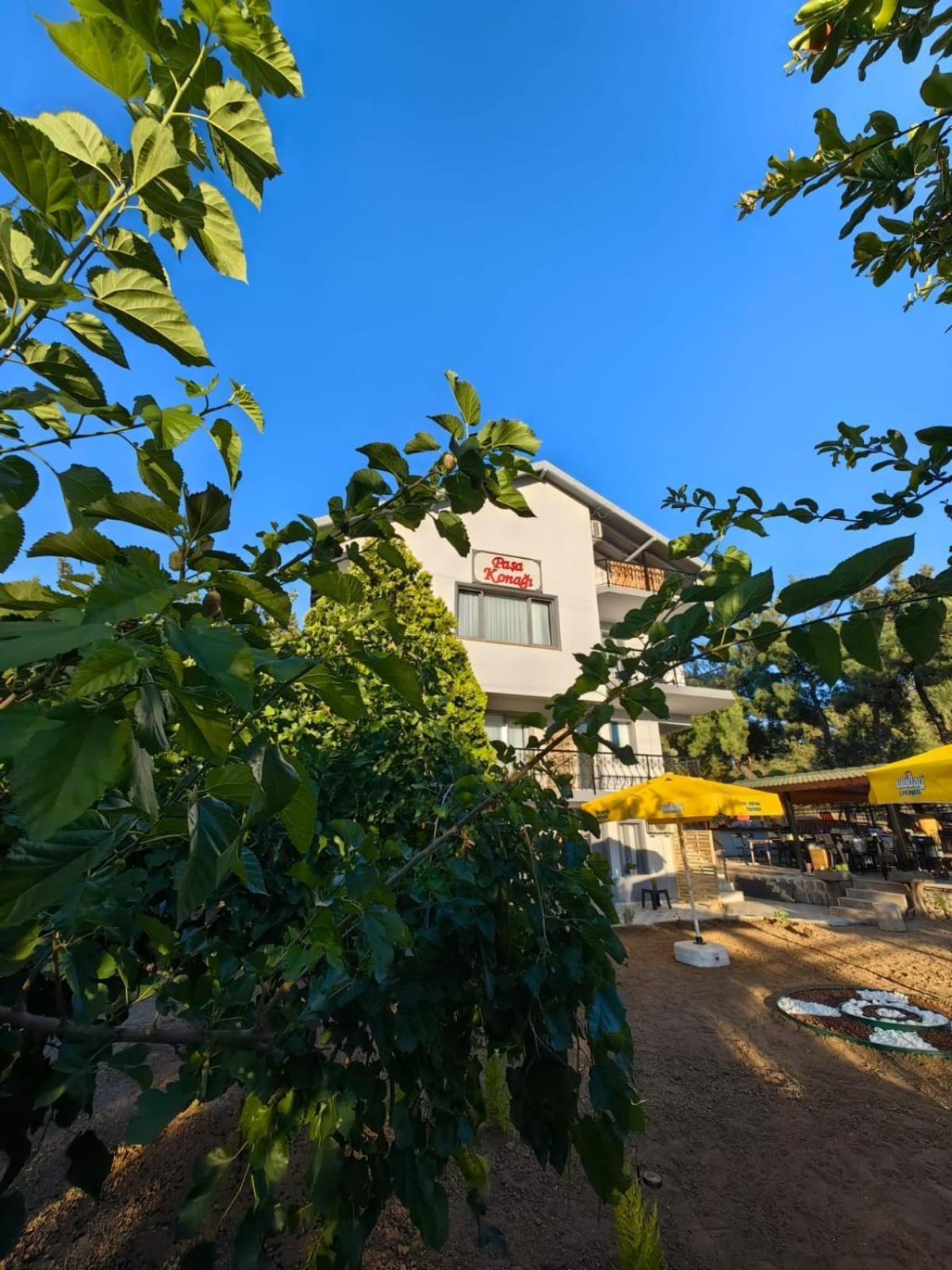 Pasa Konagi Ayvalik Hotel Bagian luar foto
